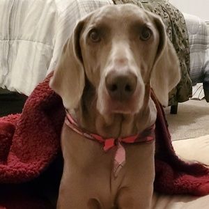 Meet your Posher, Kaylee